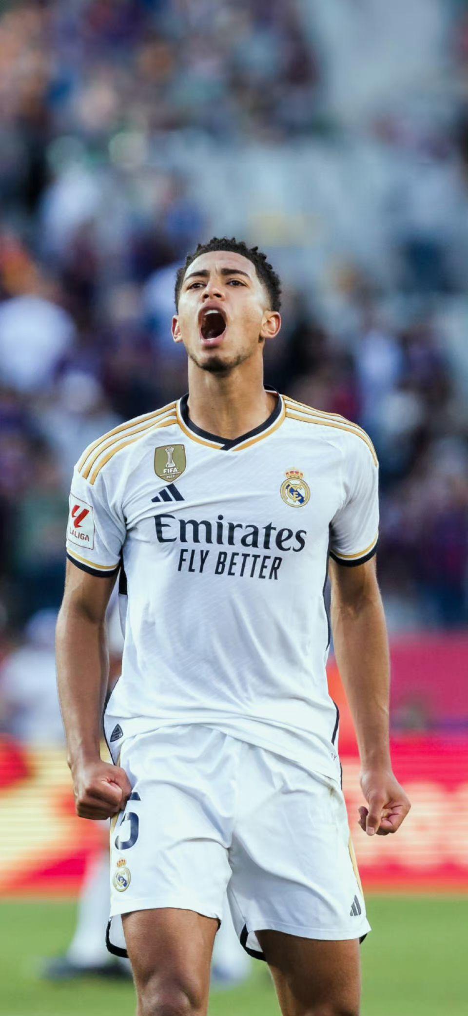 主场3-0完胜！栃木市FC提前一轮队史首度升入日职乙（栃木市FC主场3-0告捷，提前一轮队史首次升上日乙）