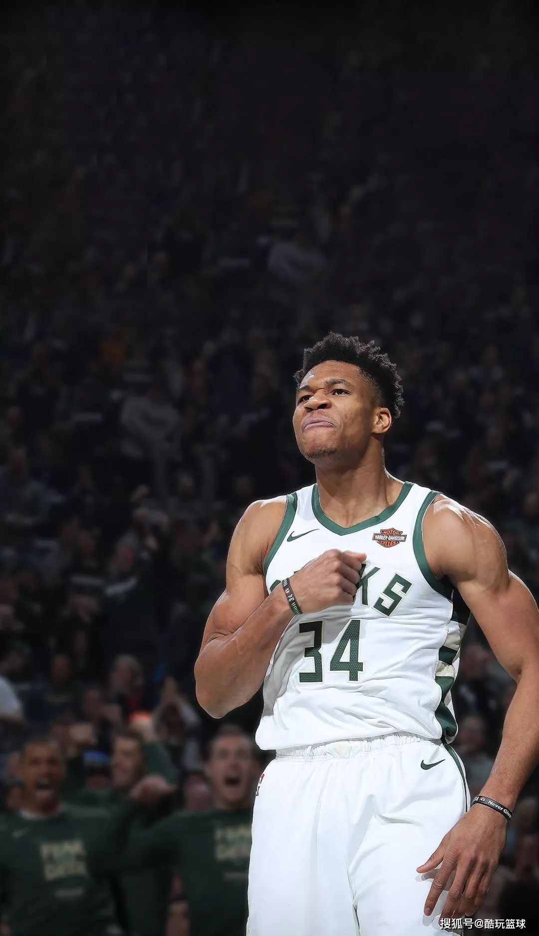 克林根在比赛中闪耀表现，单场贡献全面数据（克林根大放异彩，单场数据全面开花）