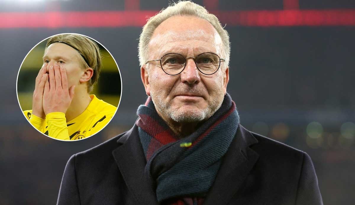 加布里埃尔：能夺冠并进球十分高兴，希望下赛季继续留在海港（加布里埃尔：夺冠又进球心情大好，盼下赛季继续效力海港）